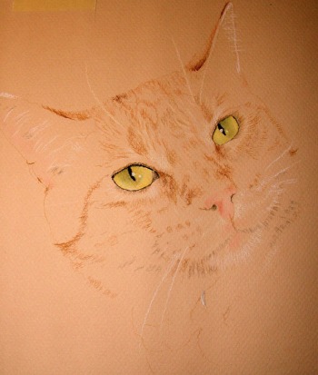 cat pastel drawing