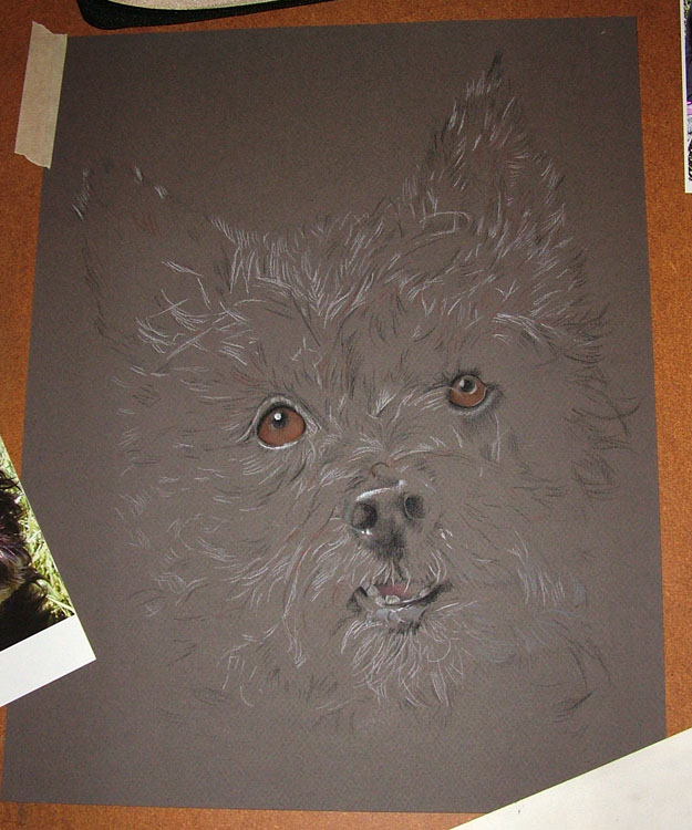 drawing dog pastel painting