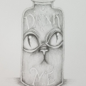 2018 Inktober Day 18 Bottle ink drawing with Cheshire cat drink me by alecia goodman