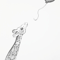 2018 Inktober Day 26 Stretch drawing of giraffe with balloon by alecia goodman